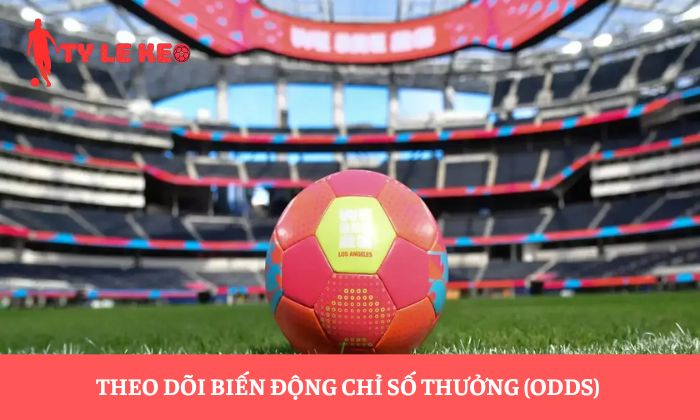 Tỷ lệ cá cược Ma Cao